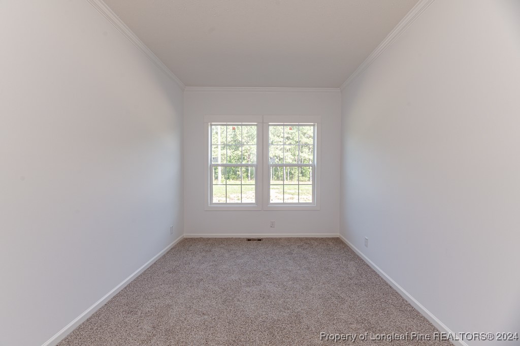 1623 Tim Currin Road Lillington, NC 27546 - Photo 24 of 41 Gallery Image 24