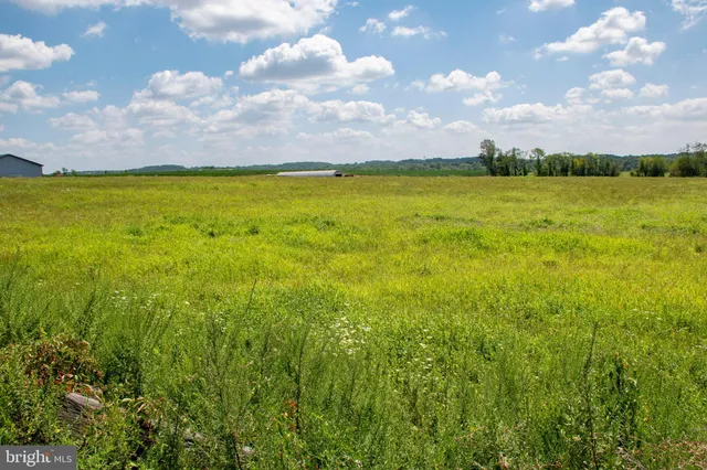 a view of an ocean and a yard