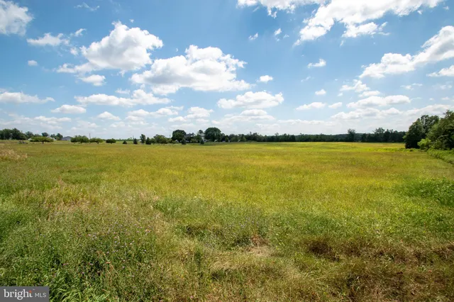 a view of an ocean and beach