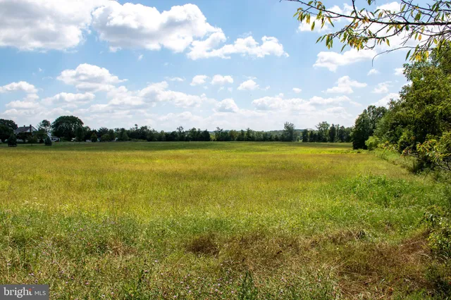 a view of a field with an ocean
