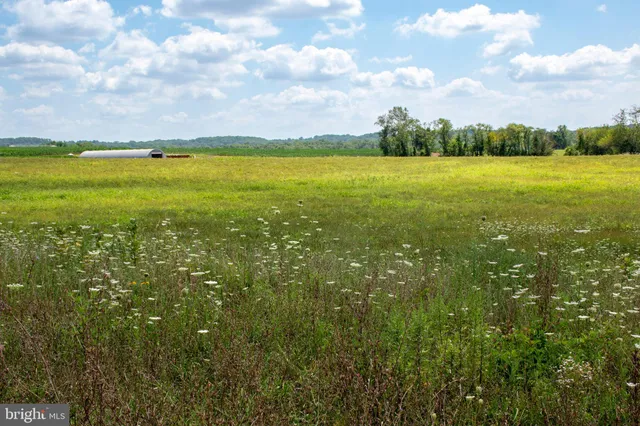 a view of an ocean and beach