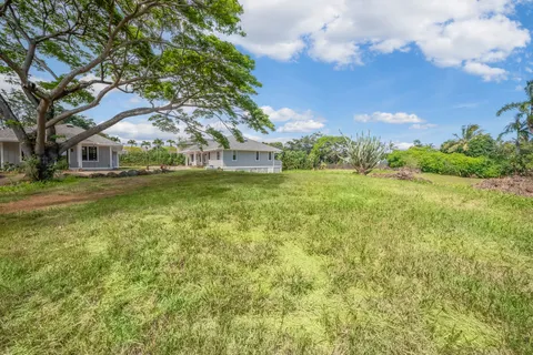 a view of a yard with plants and large trees
