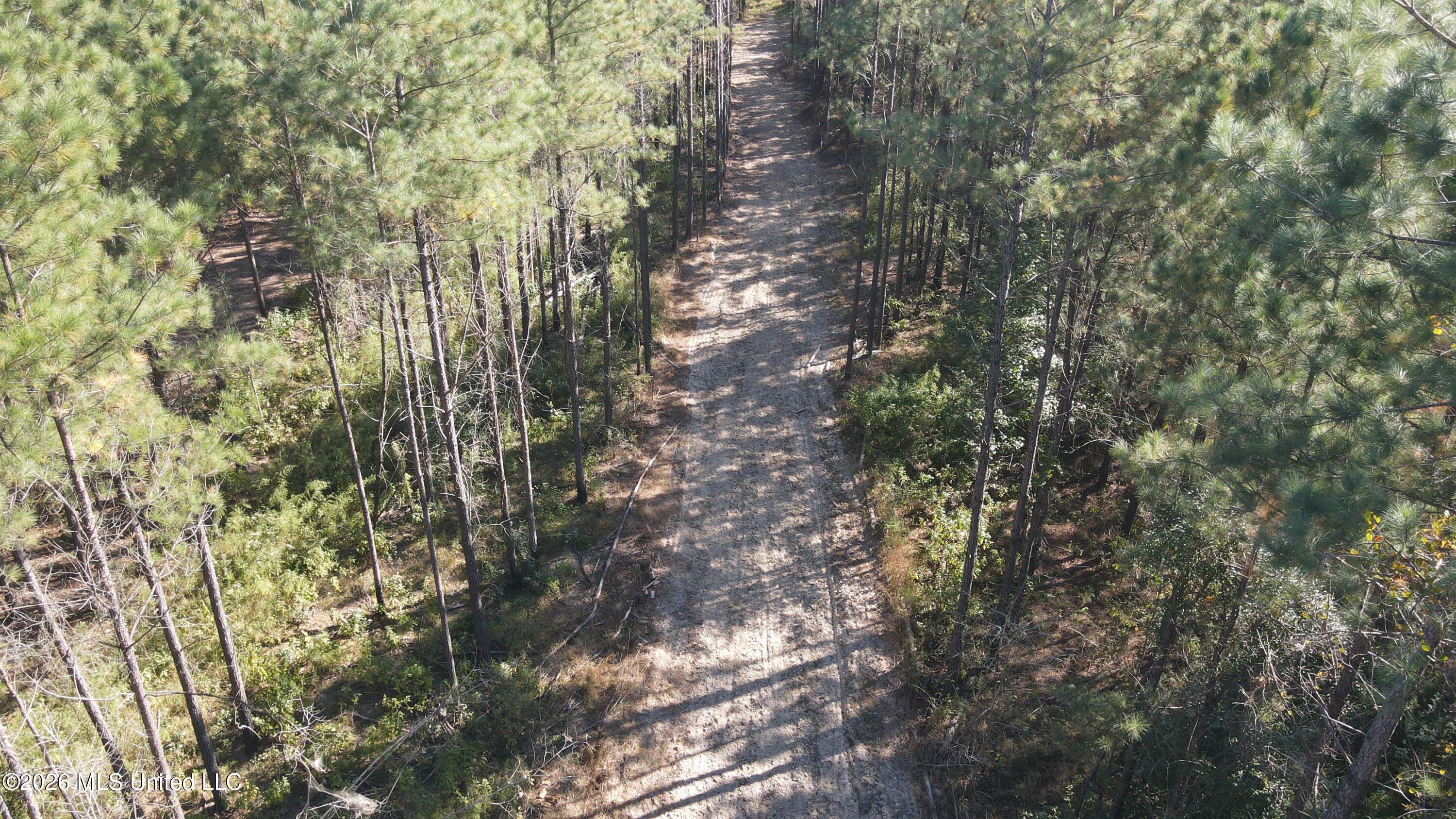 Loyd Irby Road Pelahatchie, MS 39145 - Photo 14 of 30 DJI_0226