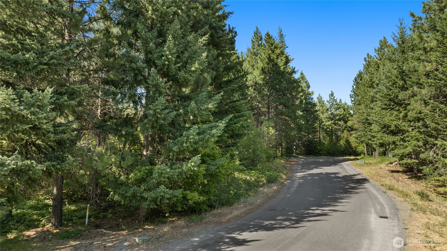 711 Ruby King Loop Cle Elum, WA 98922 - Photo 12 of 27 a view of a road with trees in the background