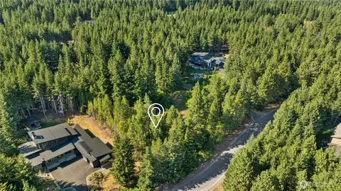 a view of a lush green forest with trees in the background