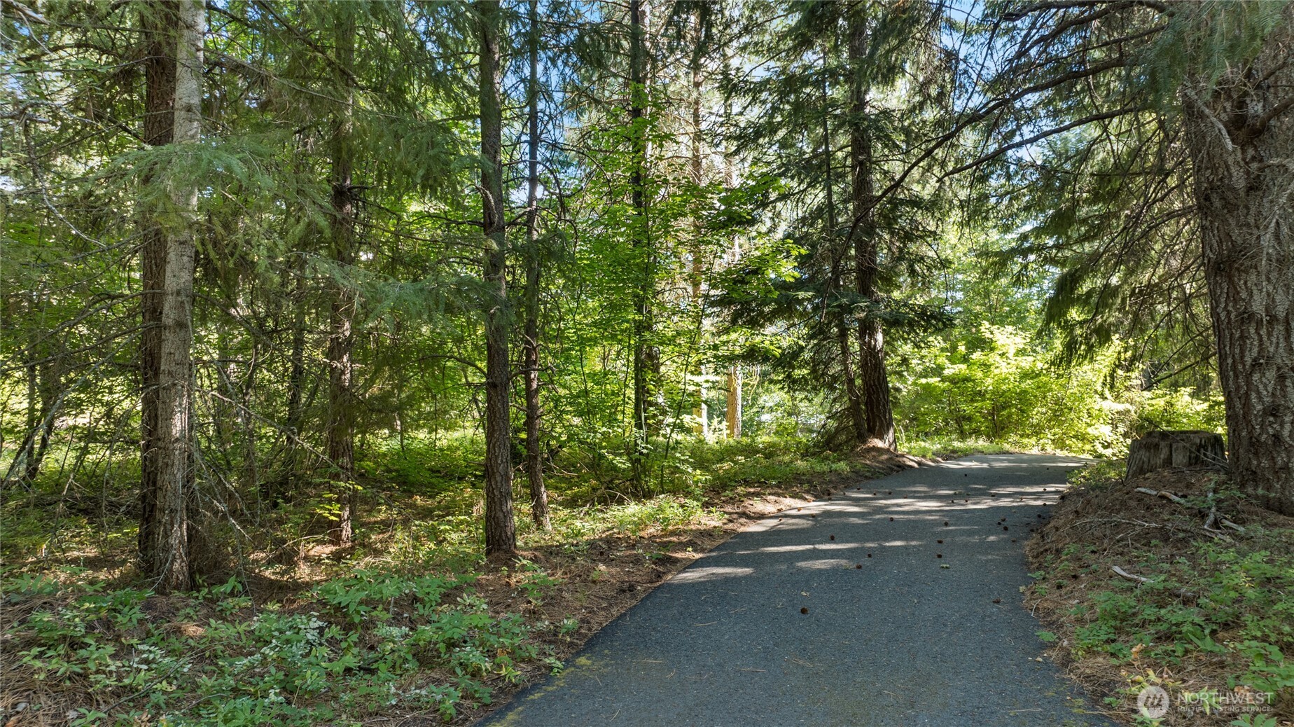 711 Ruby King Loop Cle Elum, WA 98922 - Photo 17 of 27 a view of a forest with trees