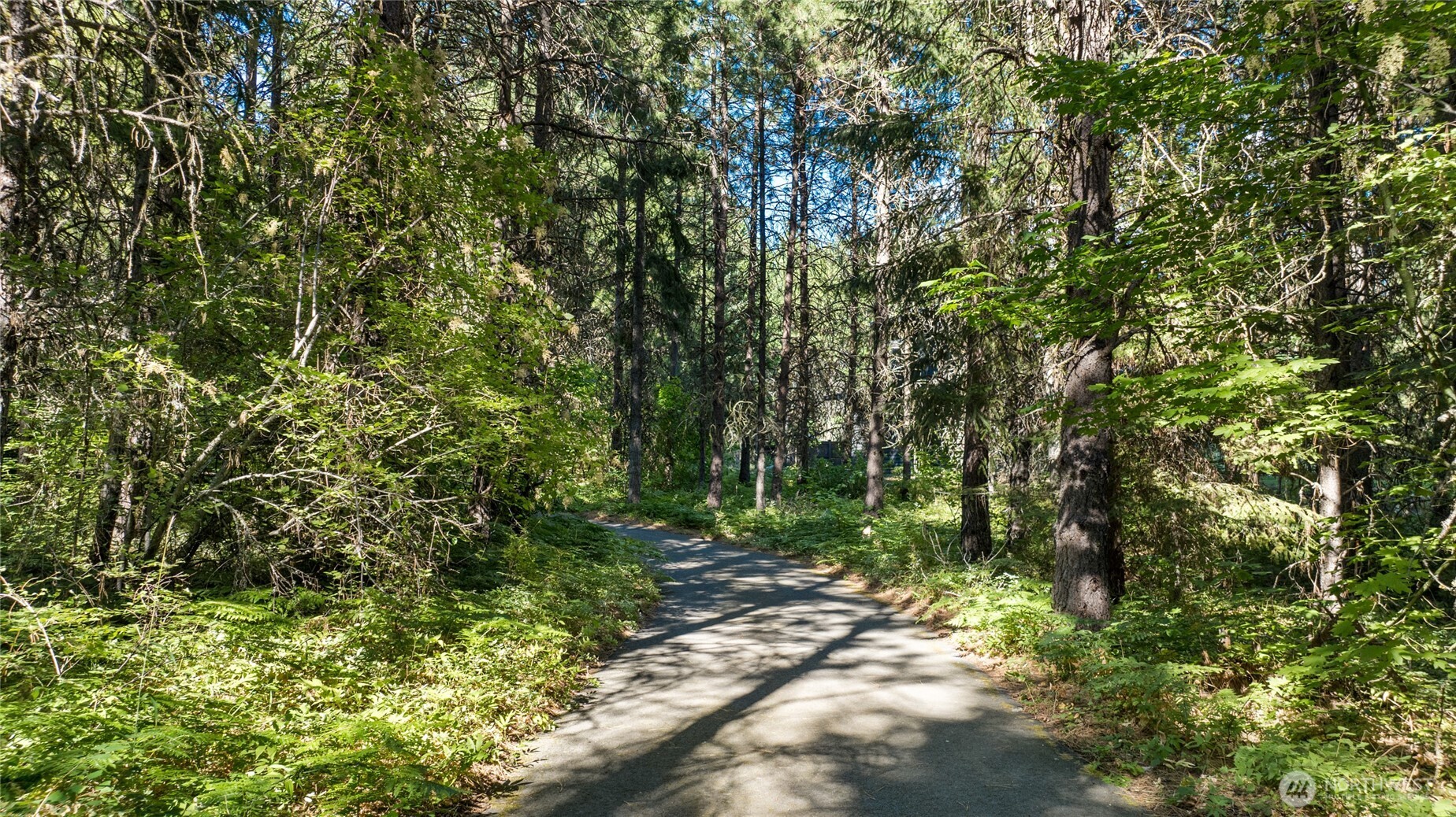 711 Ruby King Loop Cle Elum, WA 98922 - Photo 18 of 27 a view of outdoor space and trees