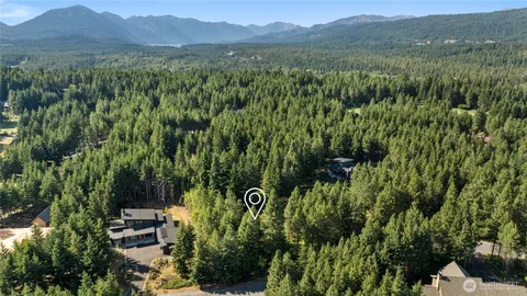 a view of a lush green forest with a house in the background