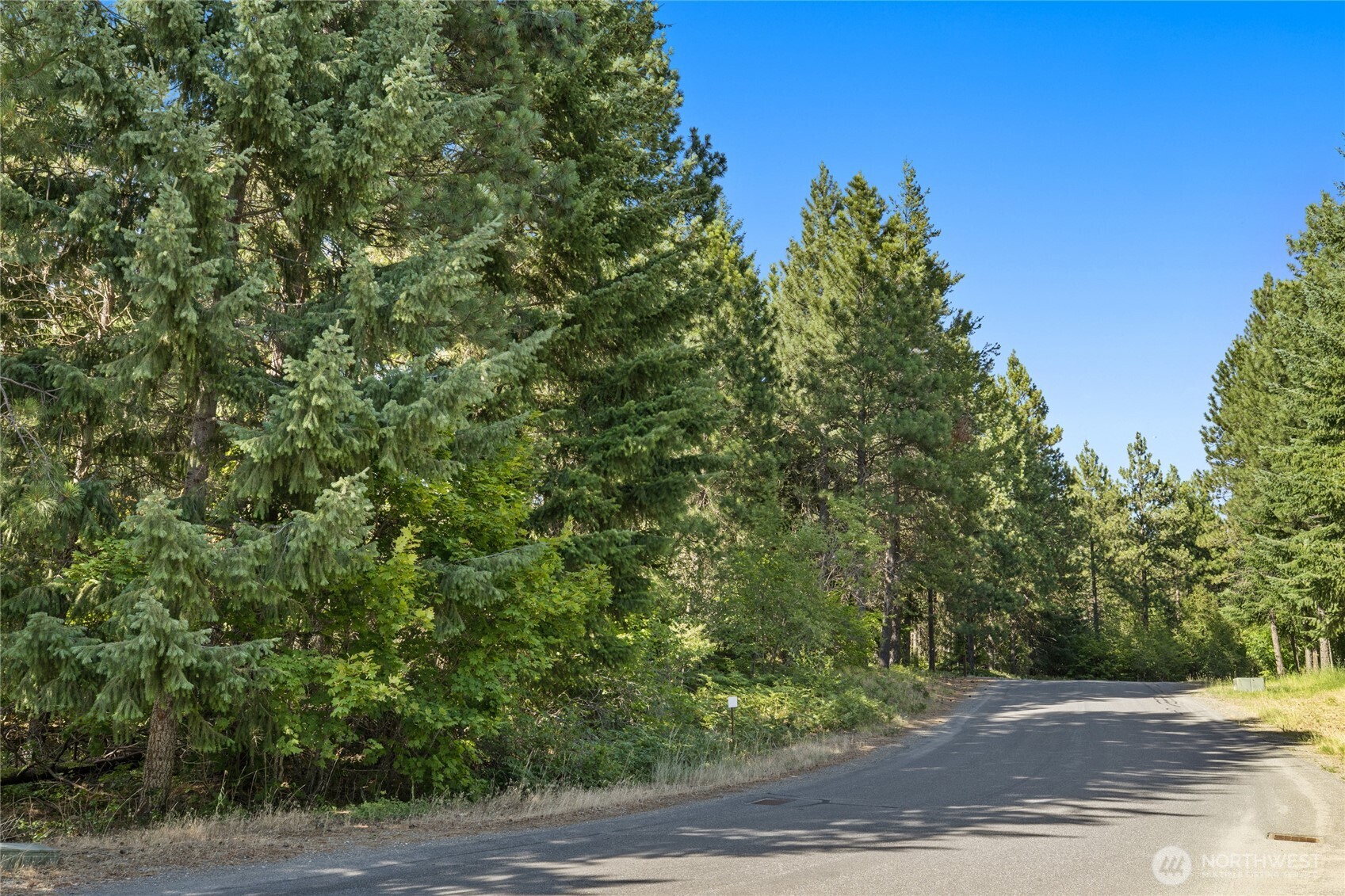 711 Ruby King Loop Cle Elum, WA 98922 - Photo 5 of 27 a view of a yard