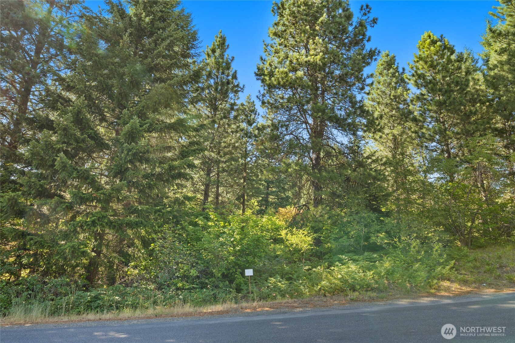711 Ruby King Loop Cle Elum, WA 98922 - Photo 6 of 27 a view of a yard