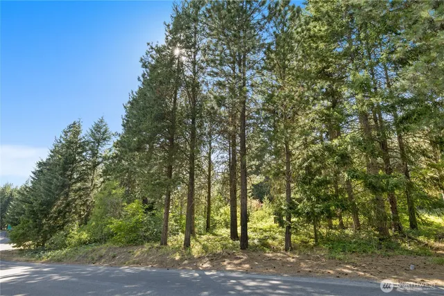 a view of outdoor space with trees