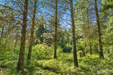 a view of outdoor space and garden