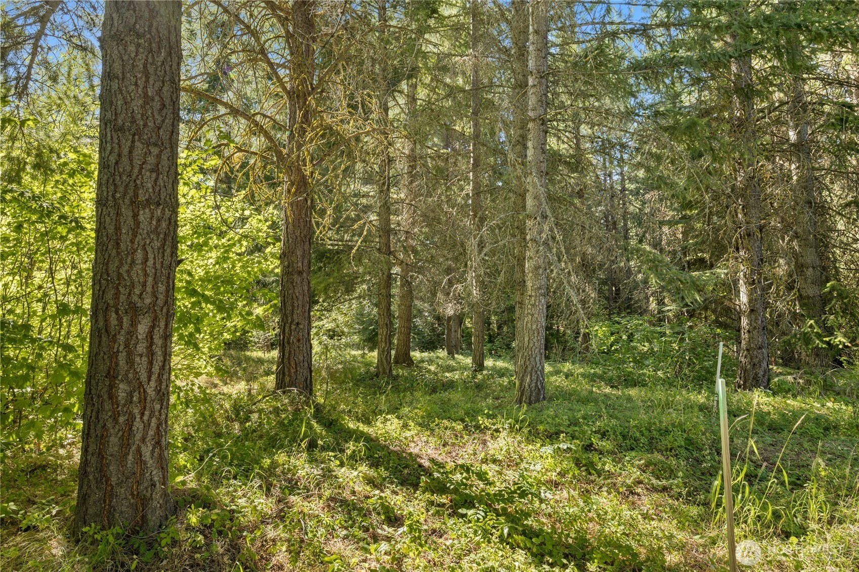 711 Ruby King Loop Cle Elum, WA 98922 - Photo 10 of 27 a view of outdoor space and garden