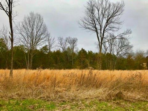 1 Parsons Road Christiana, TN 37037 - Photo 3 of 13 Gallery Image 3