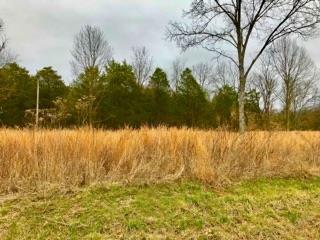1 Parsons Road Christiana, TN 37037 - Photo 4 of 13 Gallery Image 4