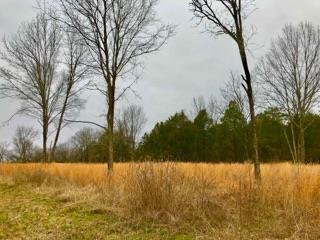 1 Parsons Road Christiana, TN 37037 - Photo 5 of 13 Gallery Image 5