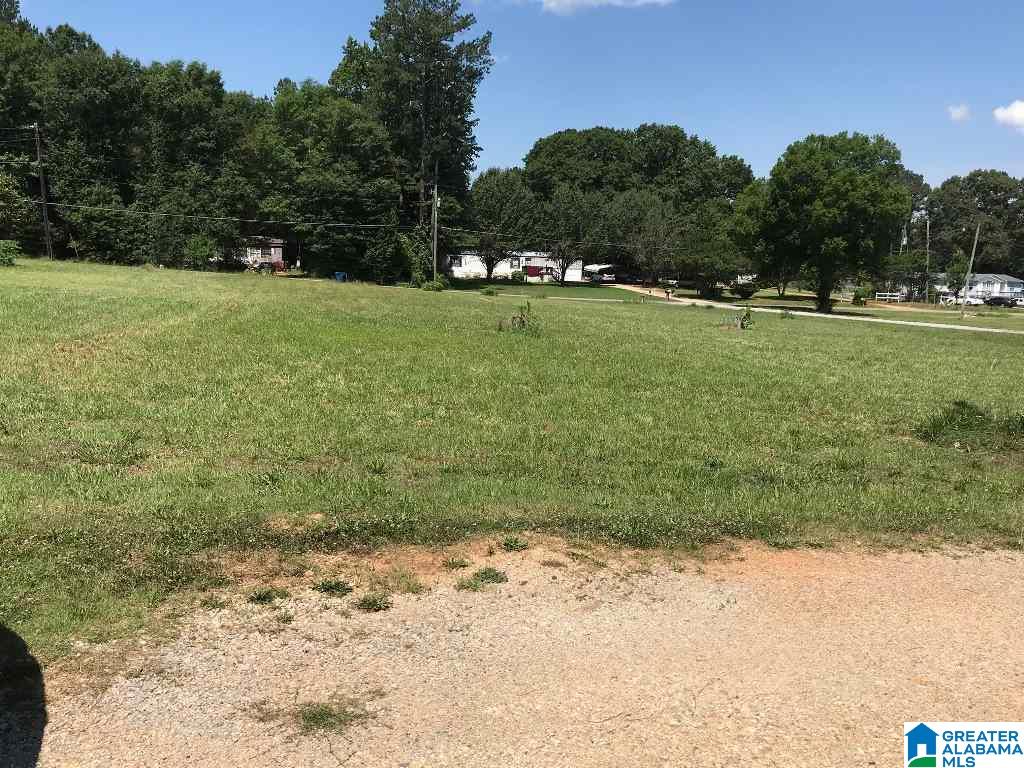 984 Beck Road Eastaboga, AL 36260 - Photo 16 of 33