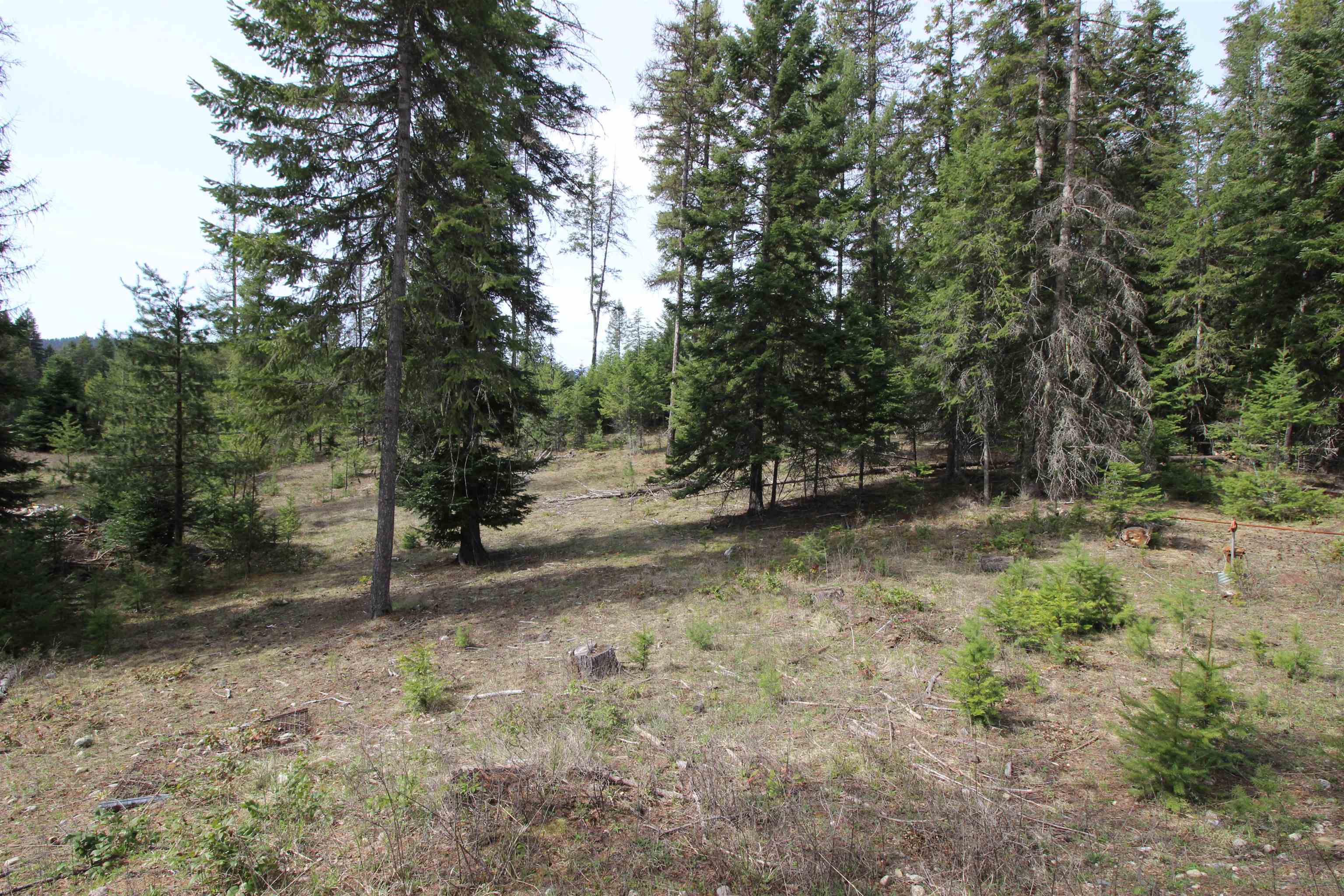 20281 LeClerc Road North Cusick, WA 99119 - Photo 43 of 44 Gallery Image 43