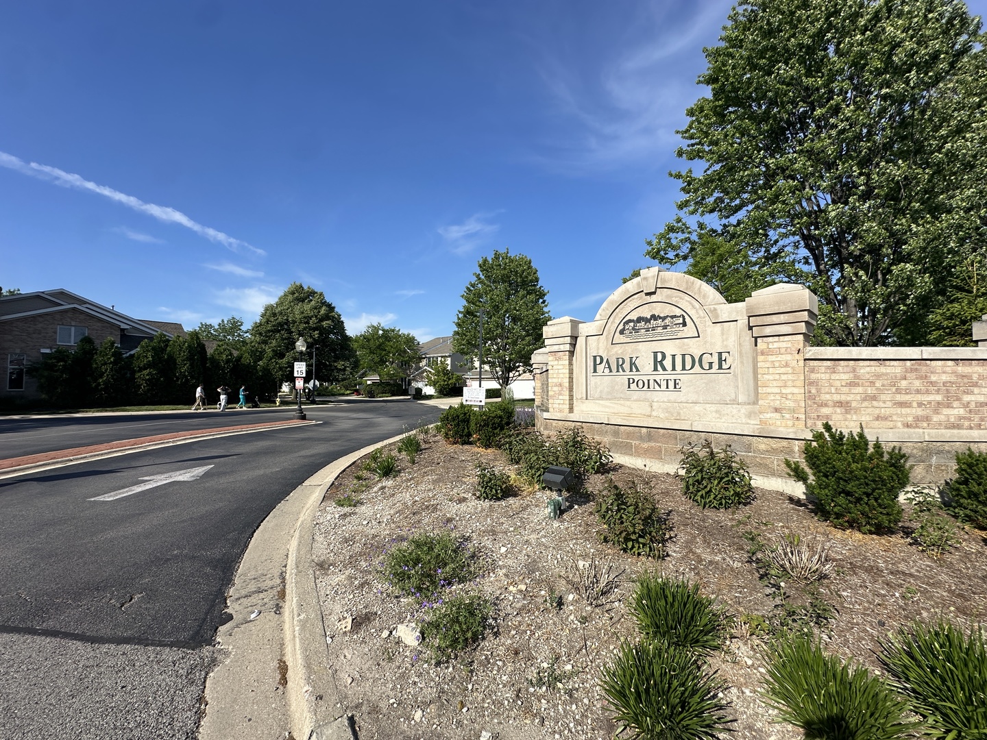 1746 Park Ridge Point Park Ridge, IL 60068 - Photo 51 of 54