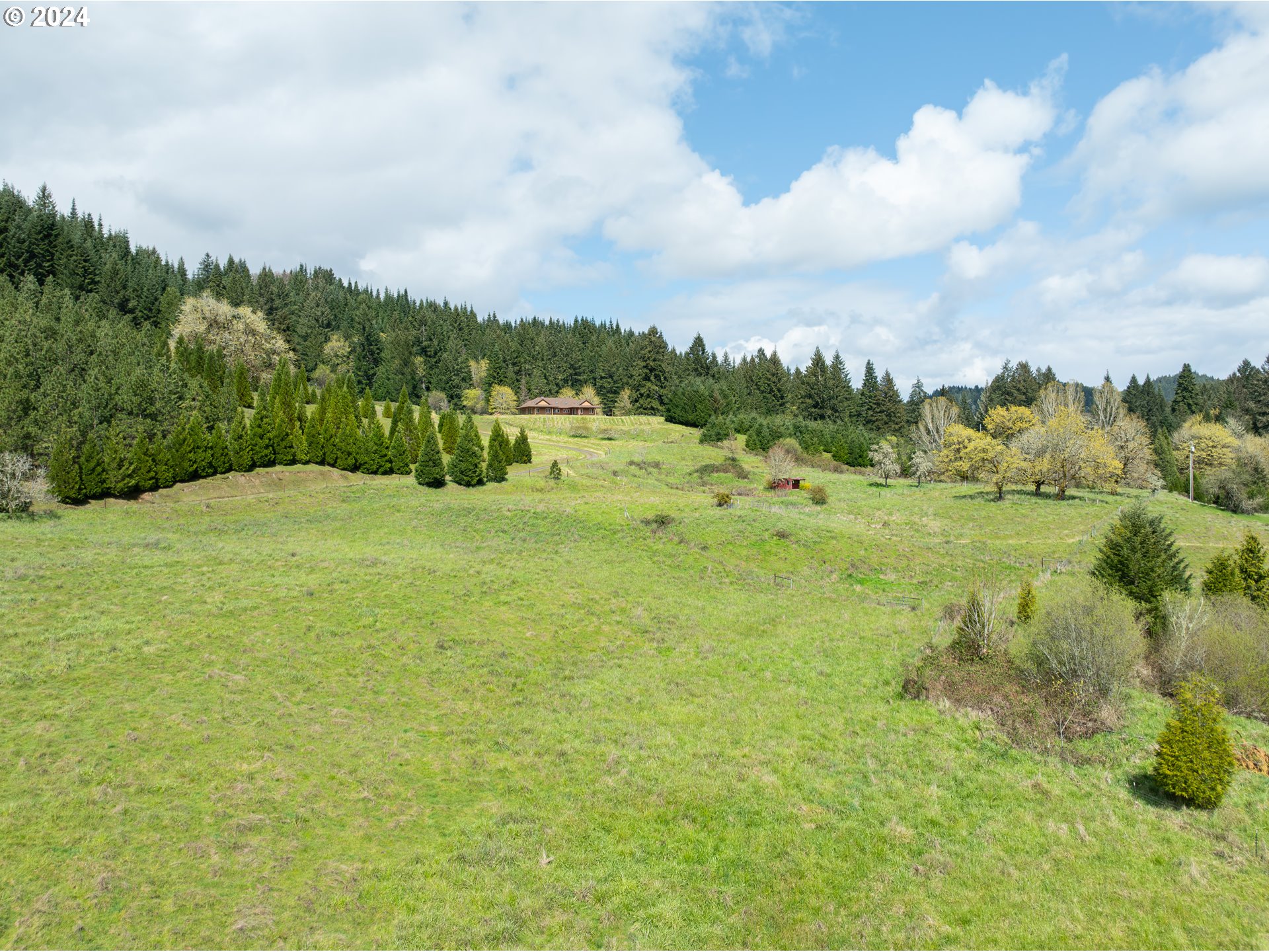 567 Skelly Road Yoncalla, OR 97499 - Photo 35 of 48 Gallery Image 35