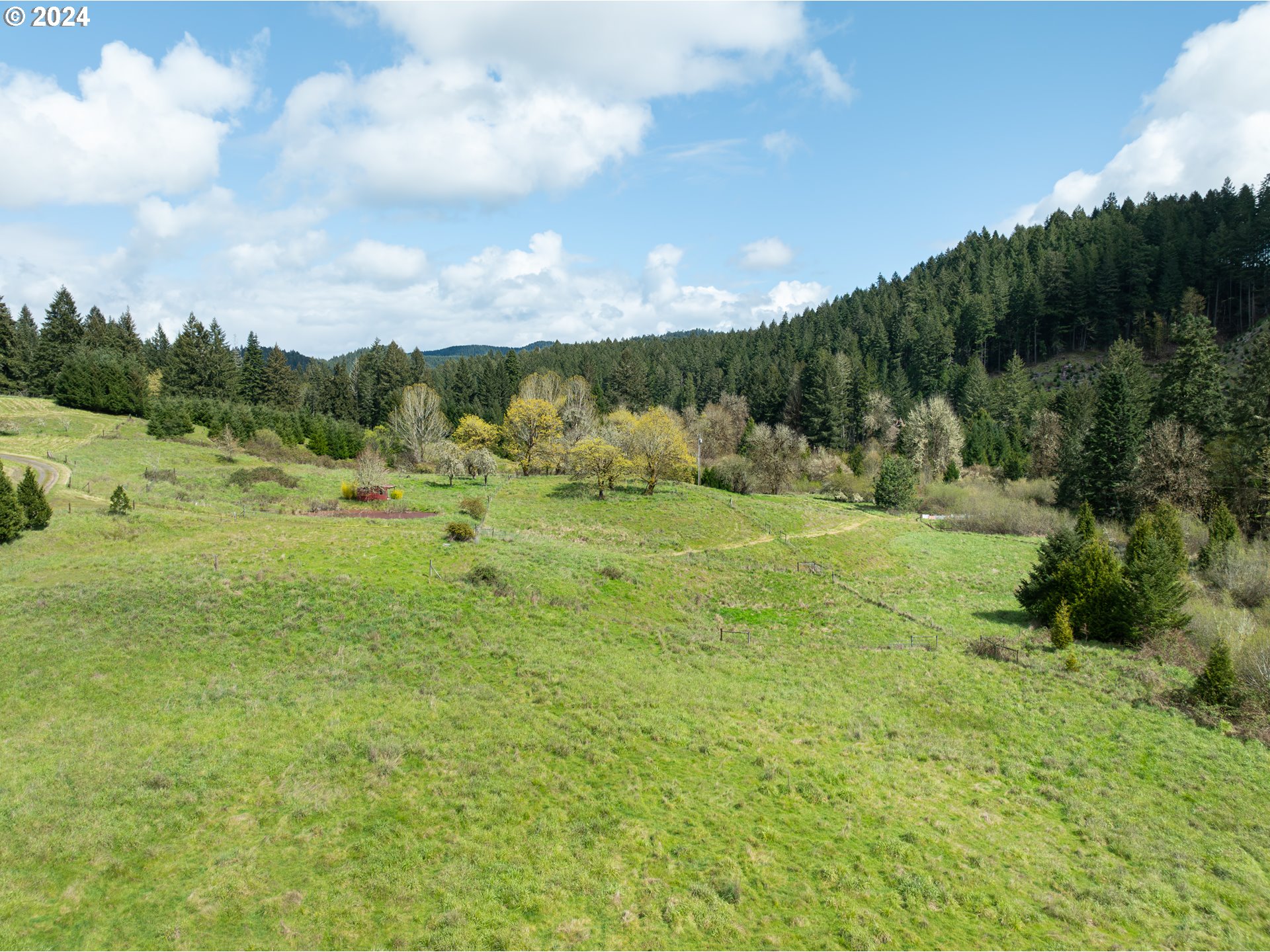 567 Skelly Road Yoncalla, OR 97499 - Photo 36 of 48 Gallery Image 36