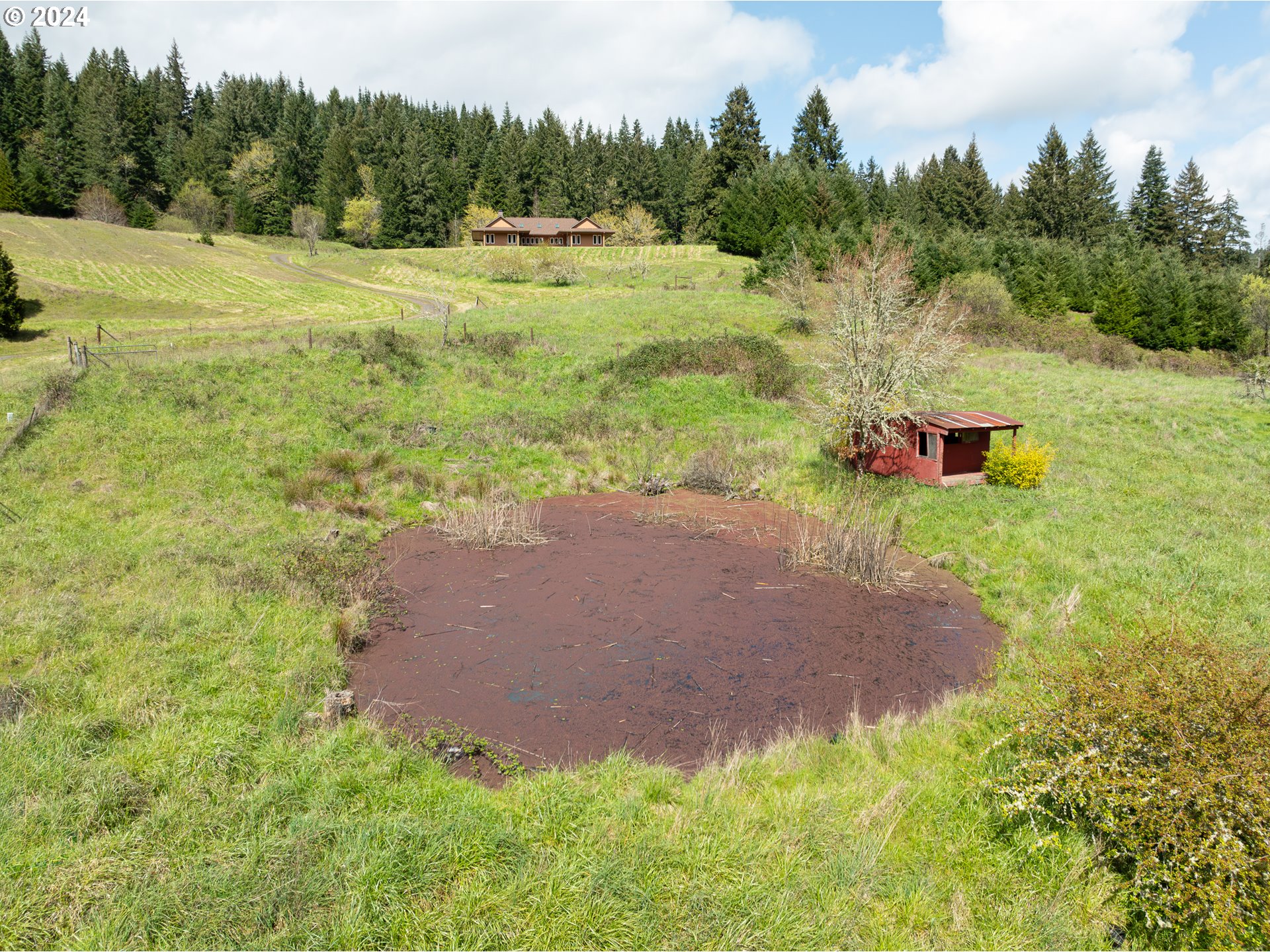 567 Skelly Road Yoncalla, OR 97499 - Photo 37 of 48 Gallery Image 37