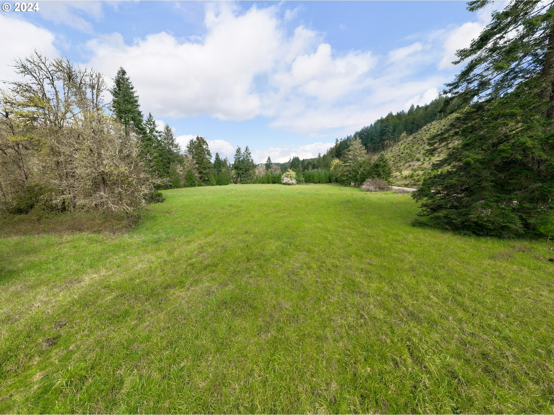 567 Skelly Road Yoncalla, OR 97499 - Photo 41 of 48 Gallery Image 41