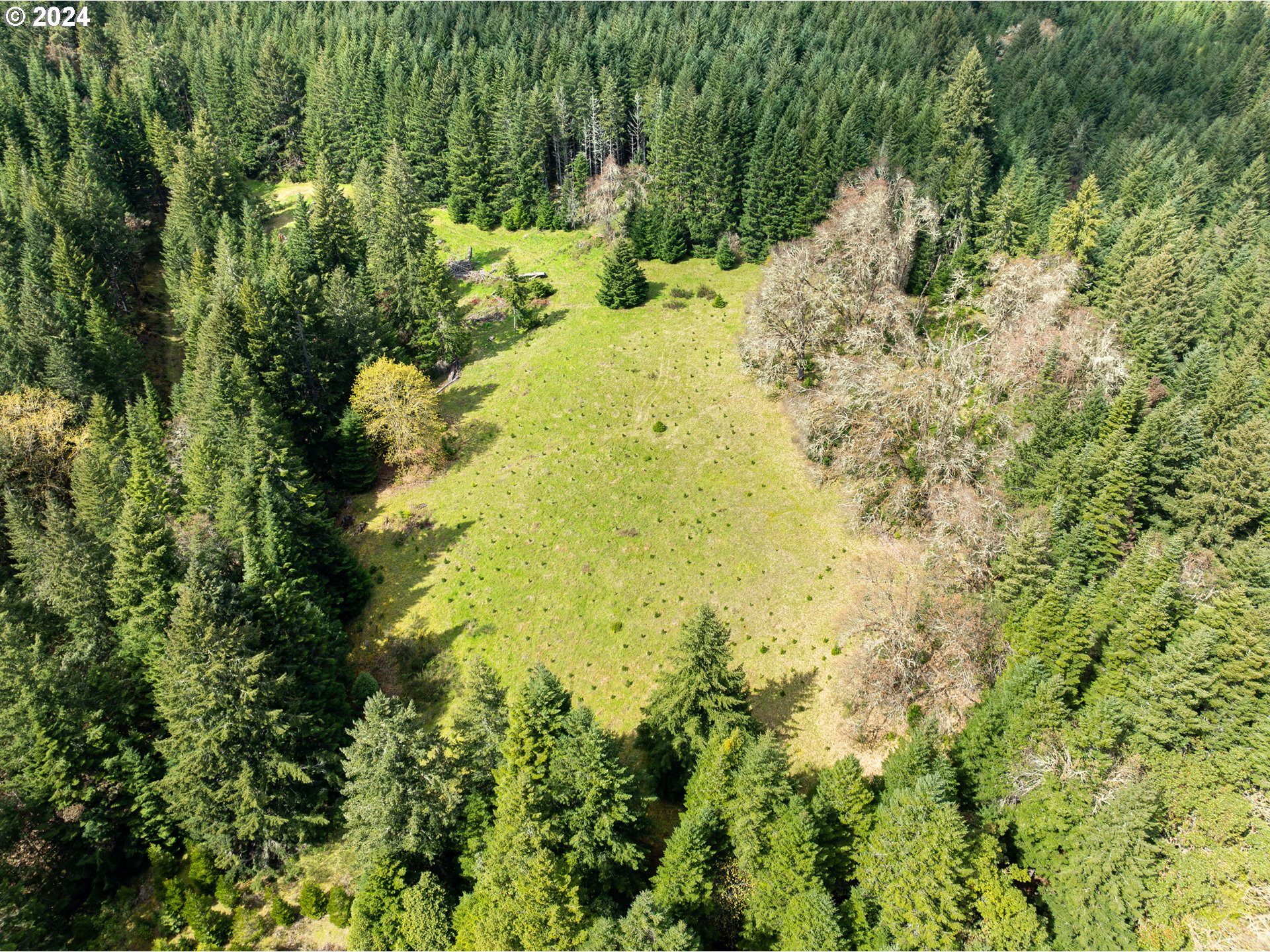 567 Skelly Road Yoncalla, OR 97499 - Photo 45 of 48 Gallery Image 45