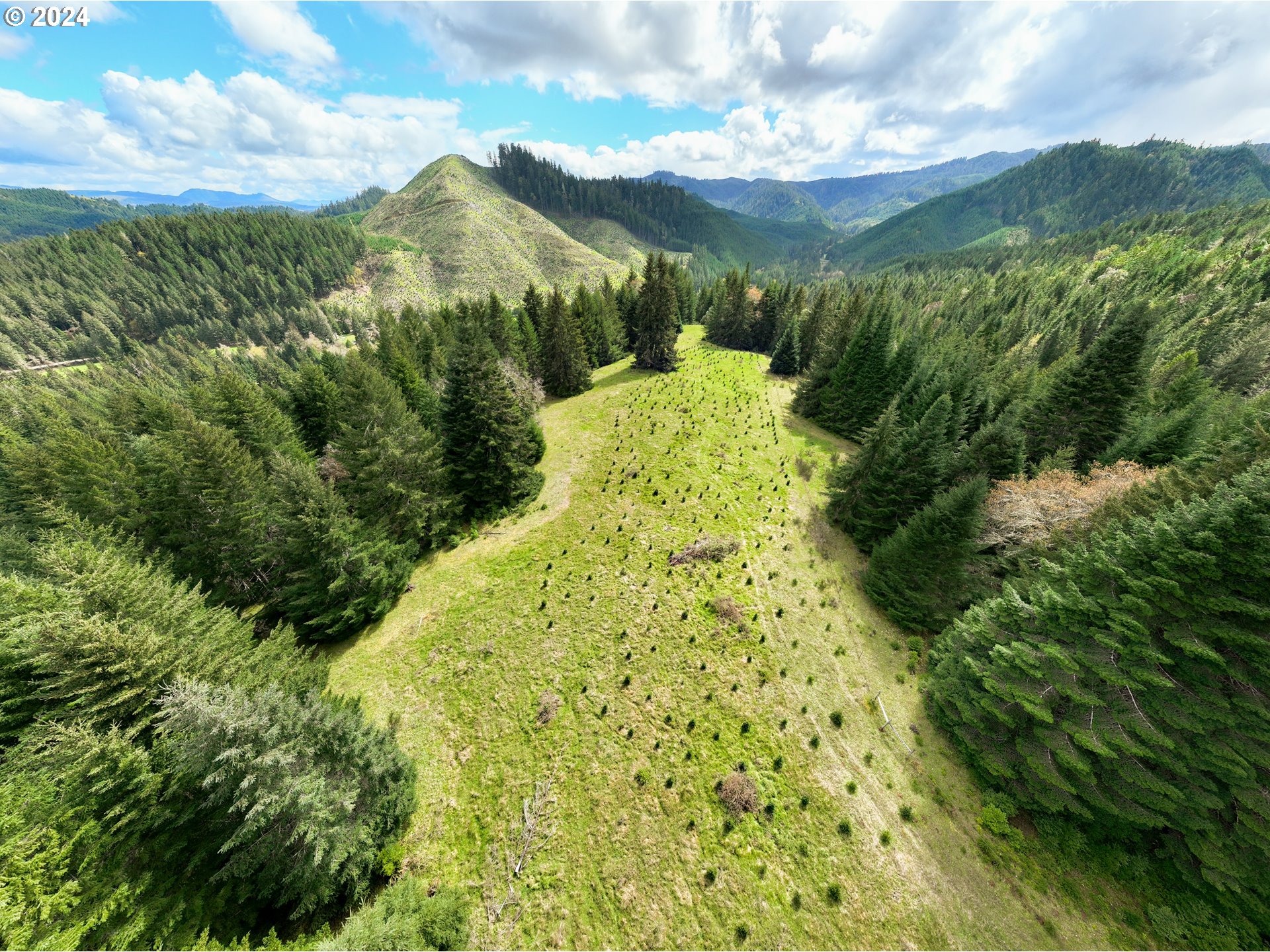 567 Skelly Road Yoncalla, OR 97499 - Photo 46 of 48 Gallery Image 46