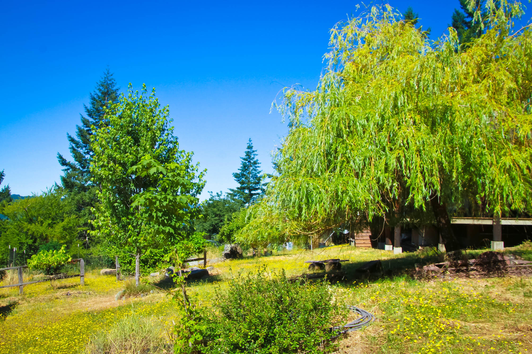 2292 Titlow Hill Road Blue Lake, CA 95525 - Photo 42 of 79
