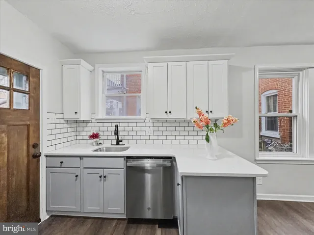 a kitchen with stainless steel appliances white cabinets a potted plant and a window