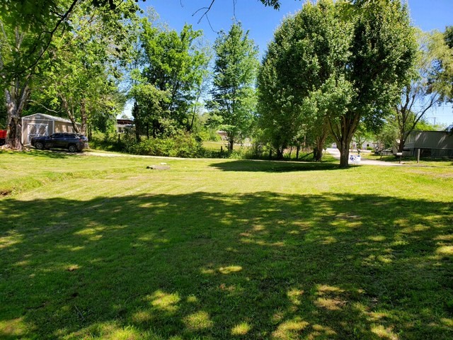 205 Locust Road Erin, TN 37061 - Photo 17 of 17 a view of a big yard with large trees and plants