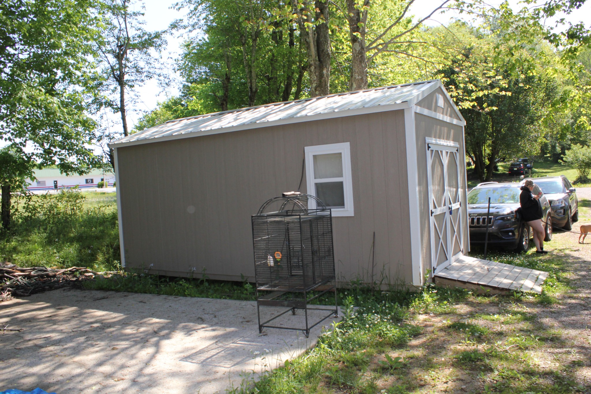 205 Locust Road Erin, TN 37061 - Photo 8 of 17 a view of a house with backyard and trees