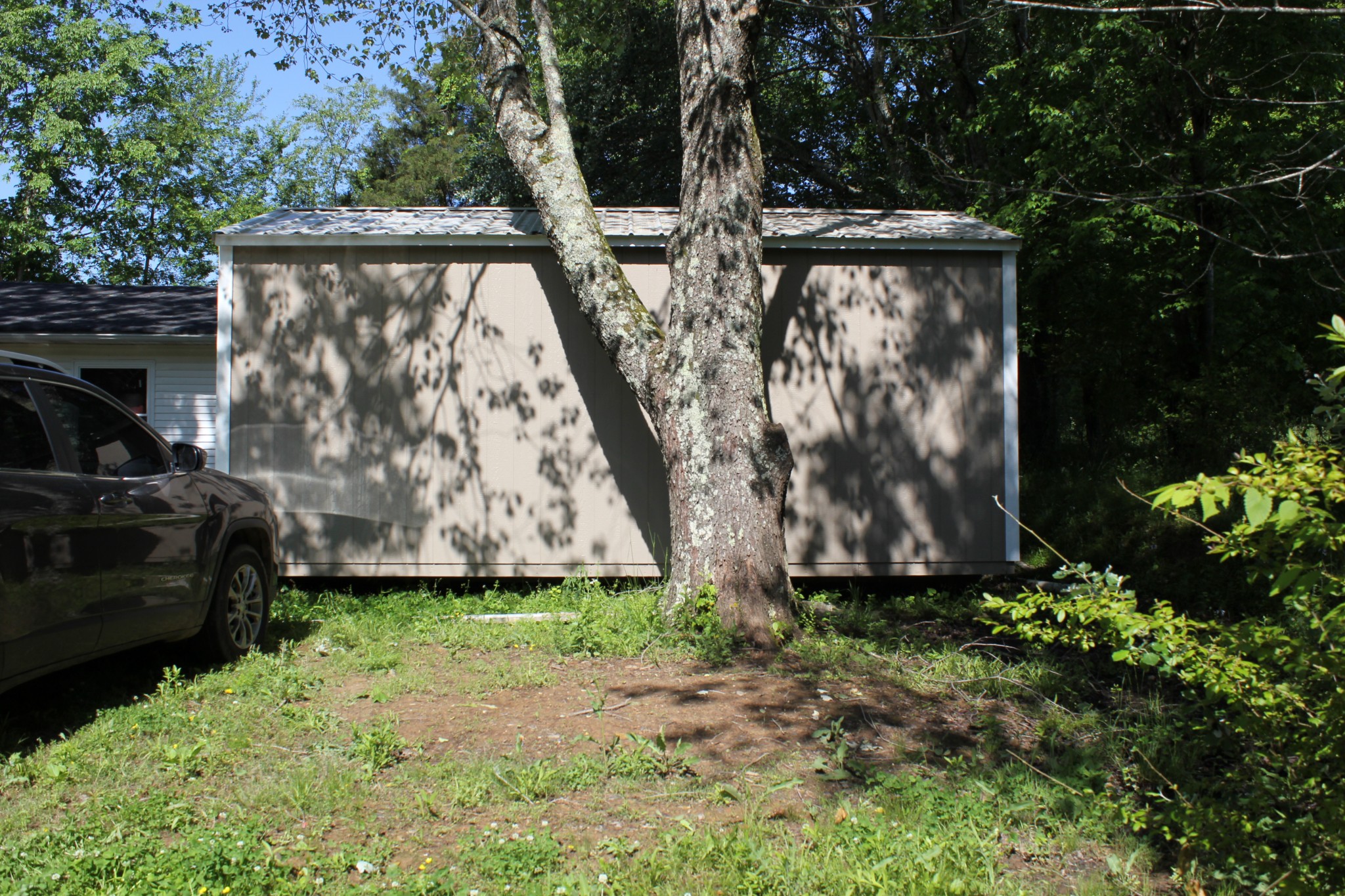 205 Locust Road Erin, TN 37061 - Photo 10 of 17 a view of backyard with tub and garden