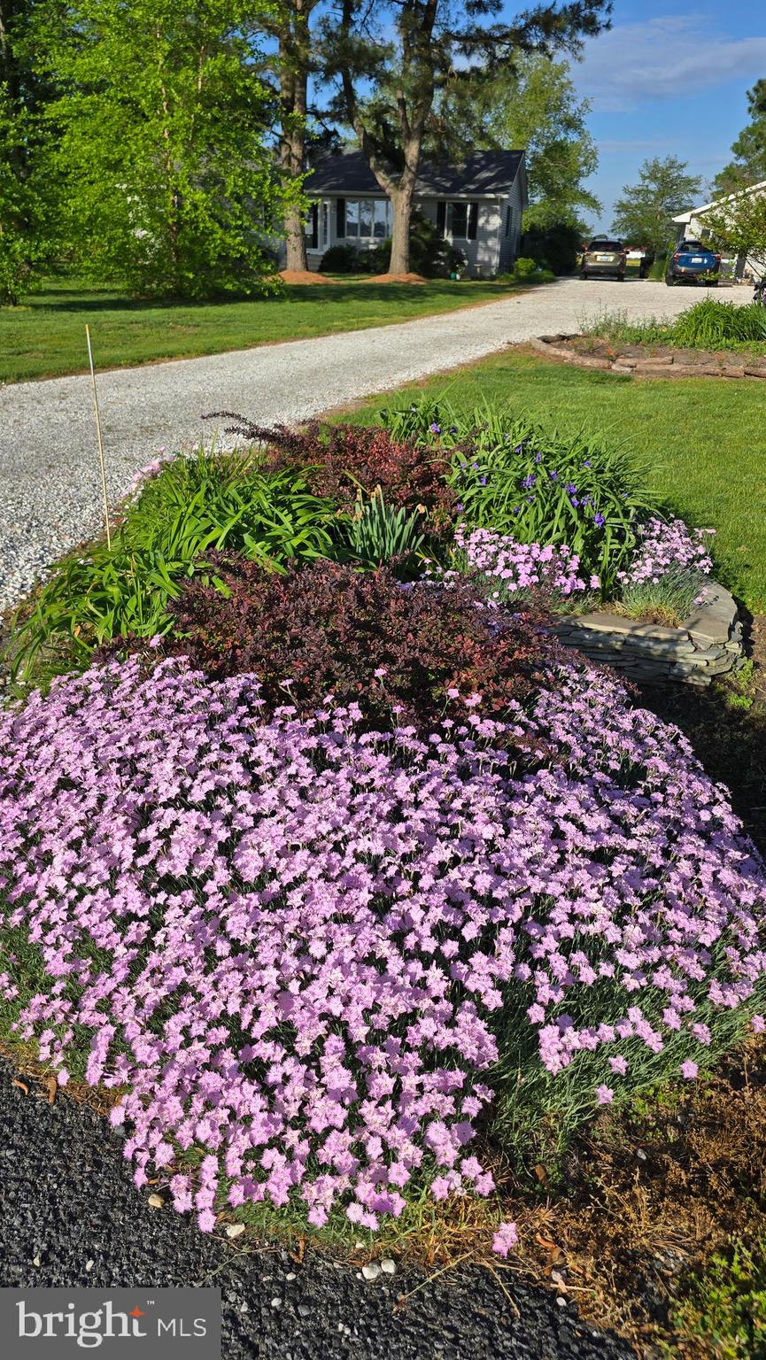 5188 Aireys Road Cambridge, MD 21613 - Photo 51 of 58