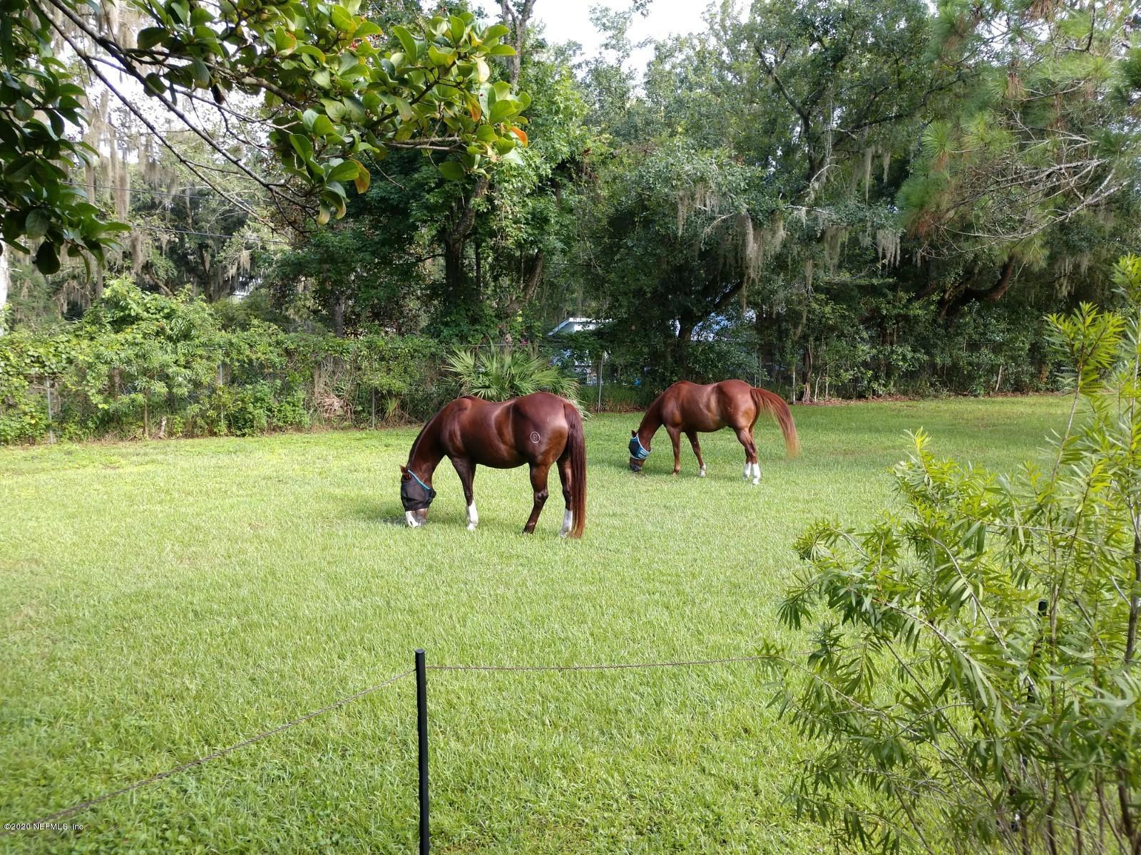 746 Worth Road St. Johns, FL 32259 - Photo 44 of 66 Bring your horses!