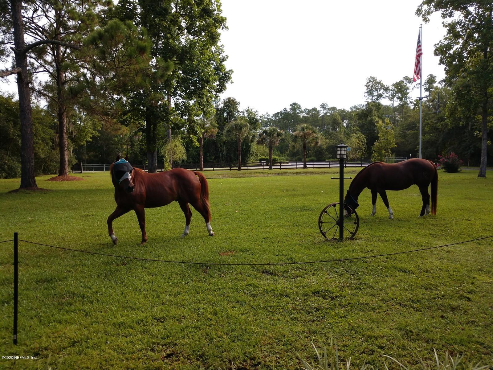 746 Worth Road St. Johns, FL 32259 - Photo 56 of 66 Fully fenced and ready for you!
