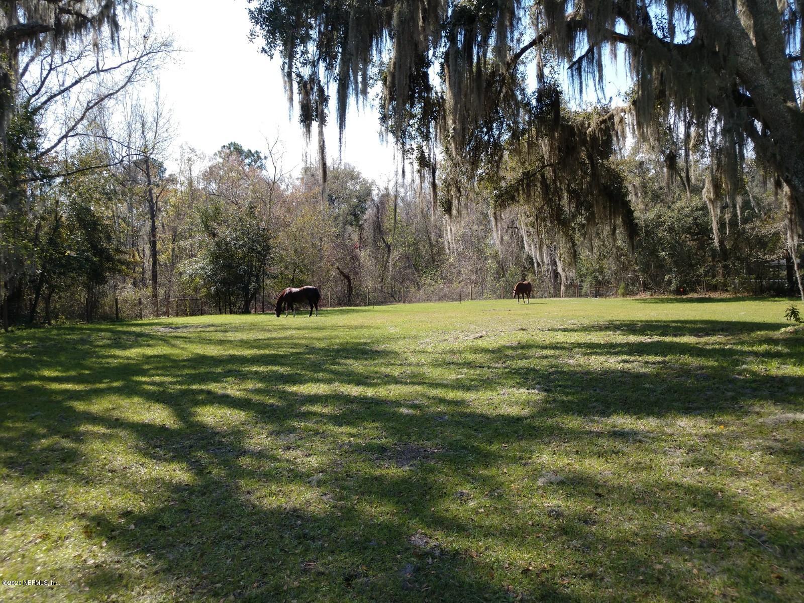 746 Worth Road St. Johns, FL 32259 - Photo 65 of 66 Pasture