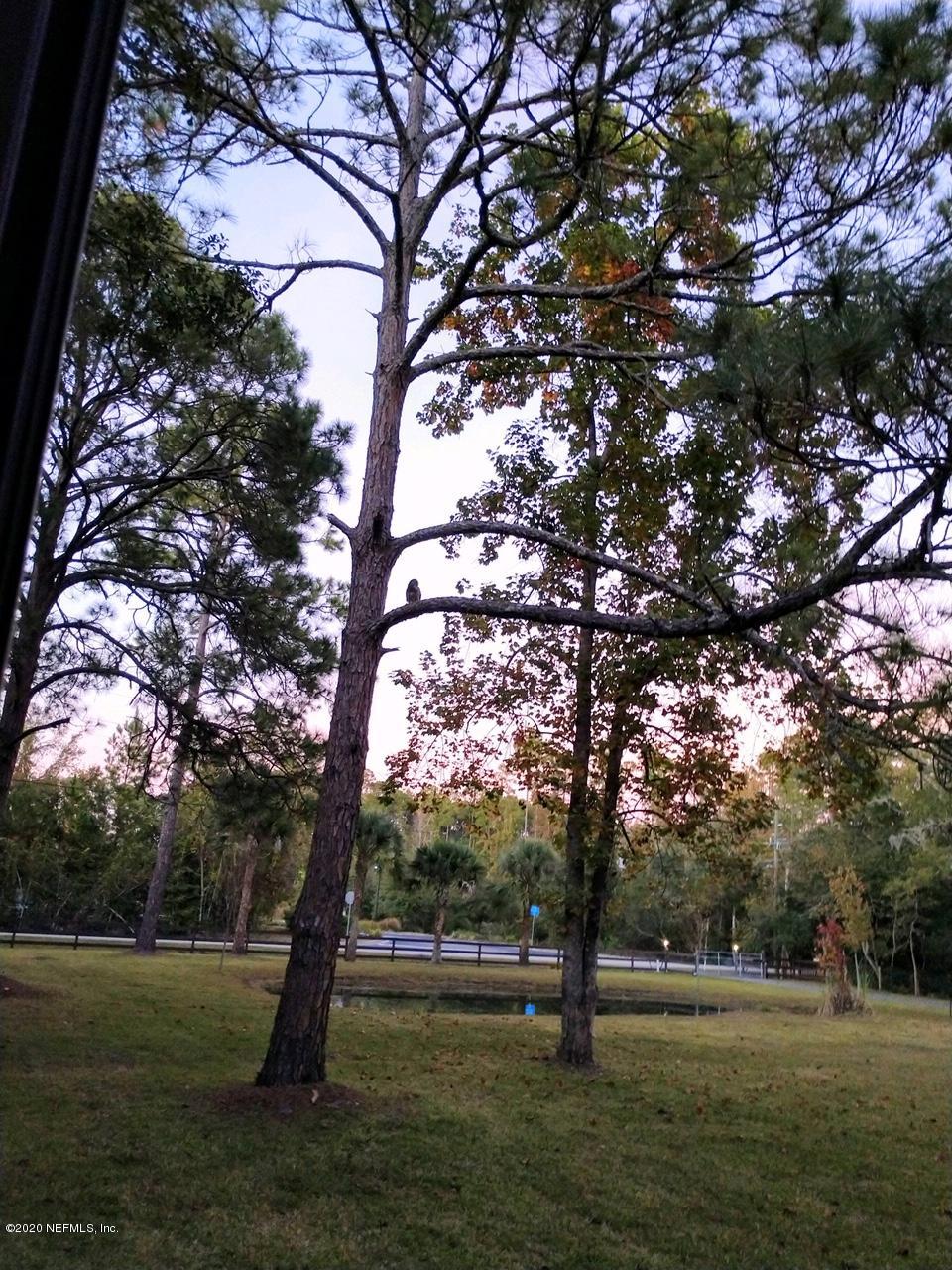 746 Worth Road St. Johns, FL 32259 - Photo 66 of 66 Morning sunrises