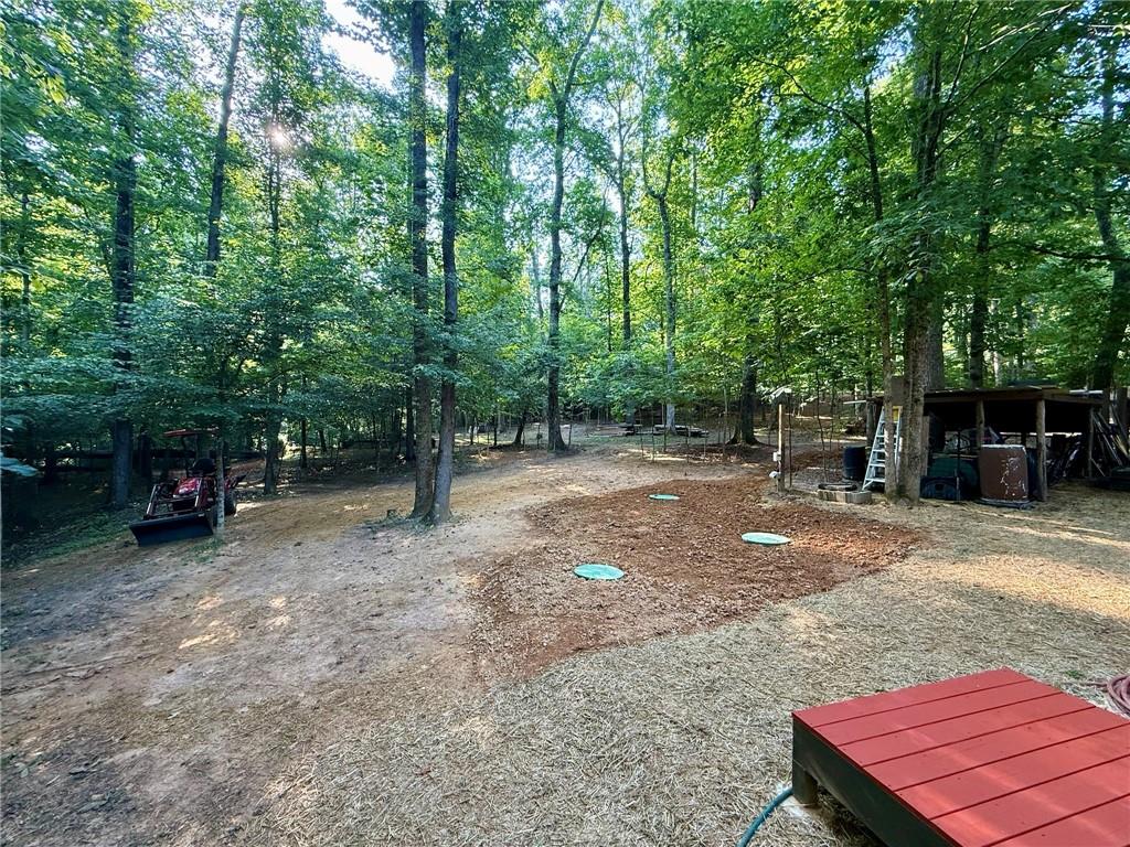 1125 Pecks Road Dahlonega, GA 30533 - Photo 12 of 31