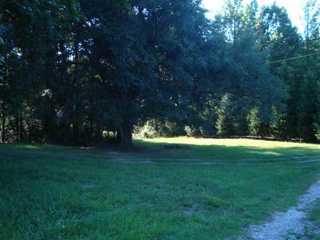 718 State Rd S-4-203 Honea Path, SC 29654 - Photo 5 of 17