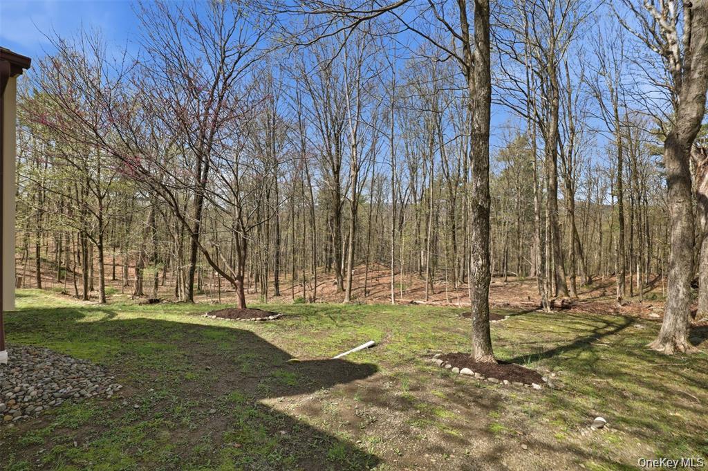 307 Old Kingston Road New Paltz, NY 12561 - Photo 28 of 28