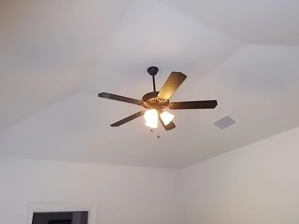 a view of a fan