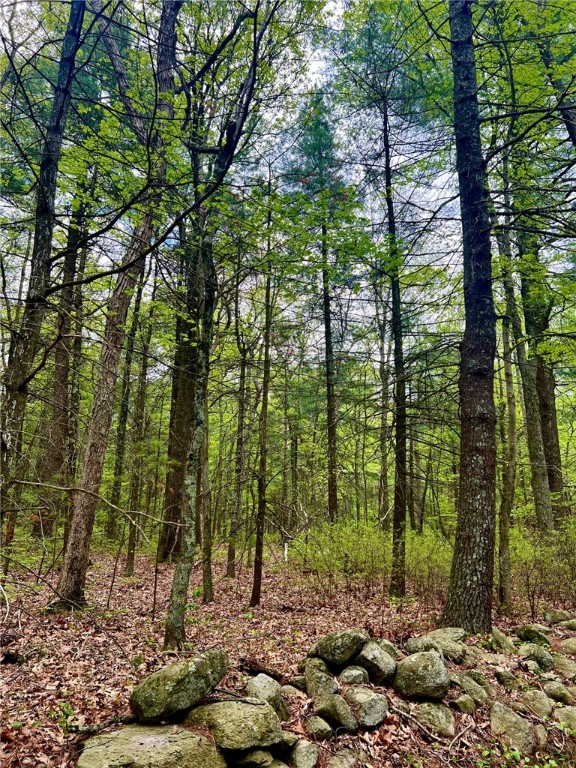 229 West Reservoir Road Pascoag, RI 02859 - Photo 16 of 17