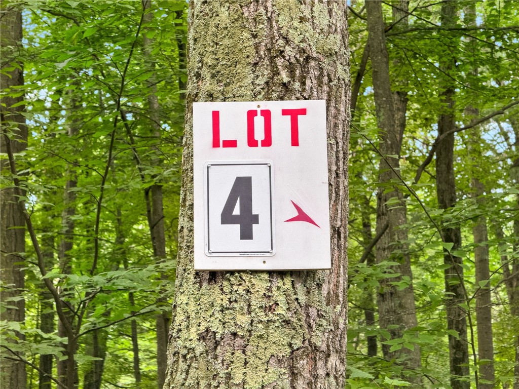 229 West Reservoir Road Pascoag, RI 02859 - Photo 6 of 17