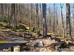 314 Cold Spring Road Burnsville, NC 28714 - Photo 5 of 13