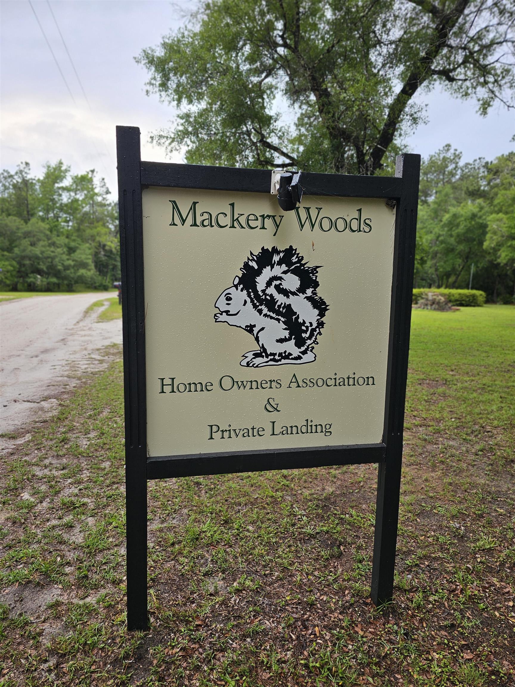 40 Mackery Woods Road Sopchoppy, FL 32358 - Photo 3 of 8