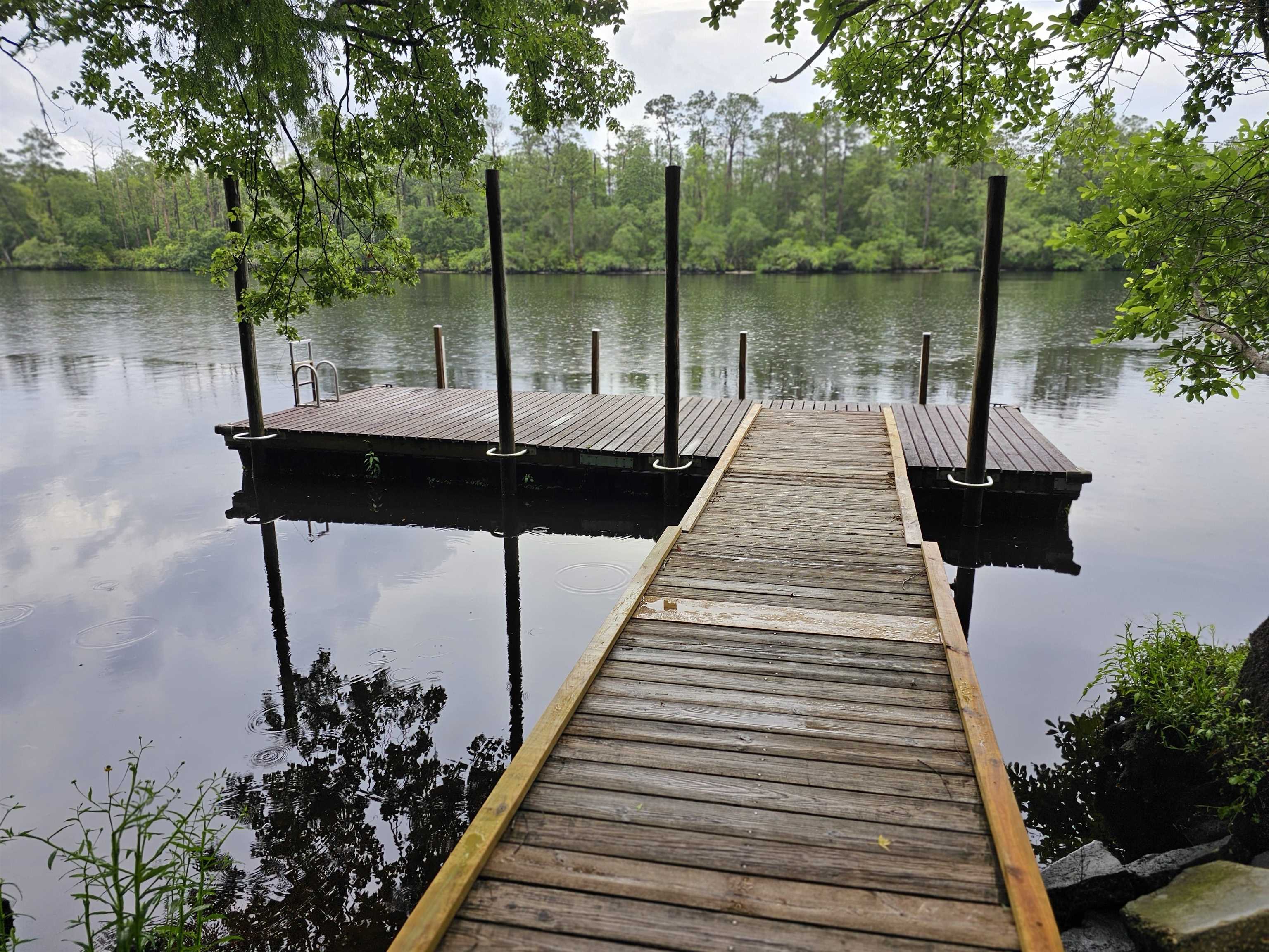 40 Mackery Woods Road Sopchoppy, FL 32358 - Photo 5 of 8