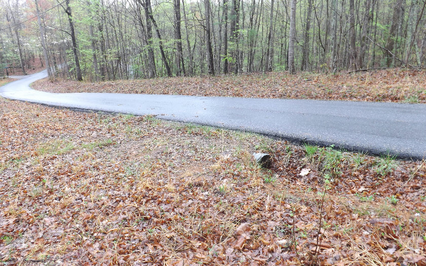 245 Spring Cove Road Blairsville, GA 30512 - Photo 1 of 1 Main View