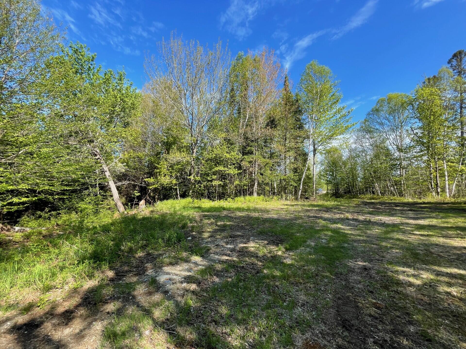 339 Long Pond Road Jackman, ME 04945 - Photo 9 of 30